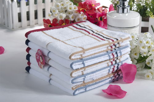 浙江潔麗雅股份